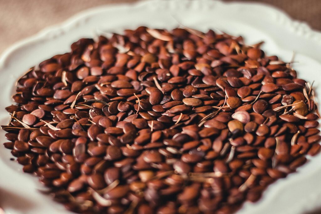 High-resolution close-up of brown flax seeds on a decorative plate.