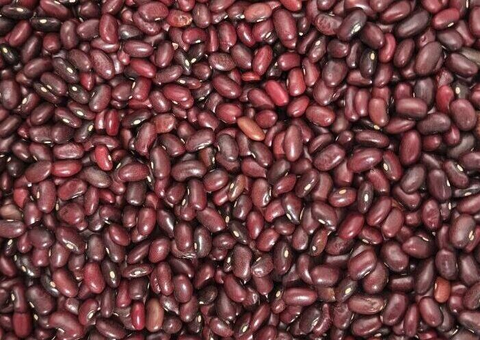 Red kidney bean